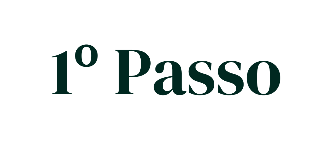 1º Passo