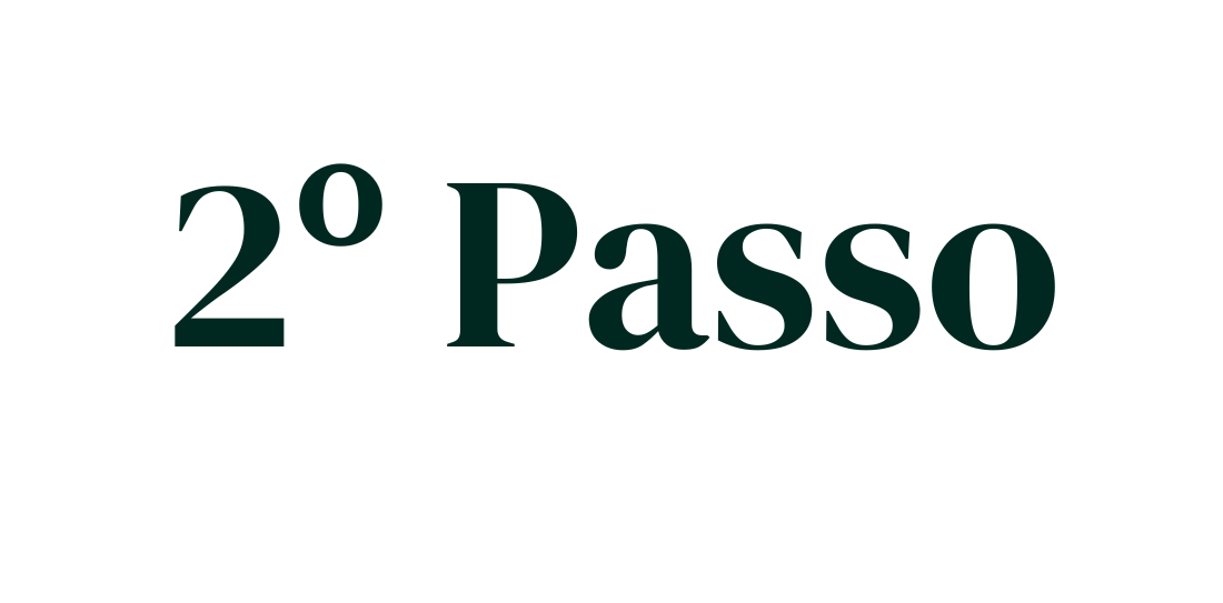 2º Passo