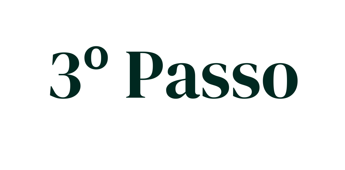 3º Passo